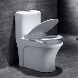 Bồn cầu 1 khối giá rẻ tại Thủ Dầu Một, Dĩ An, Tân Uyên, Bến Cát, Thuận An, Bình Dương